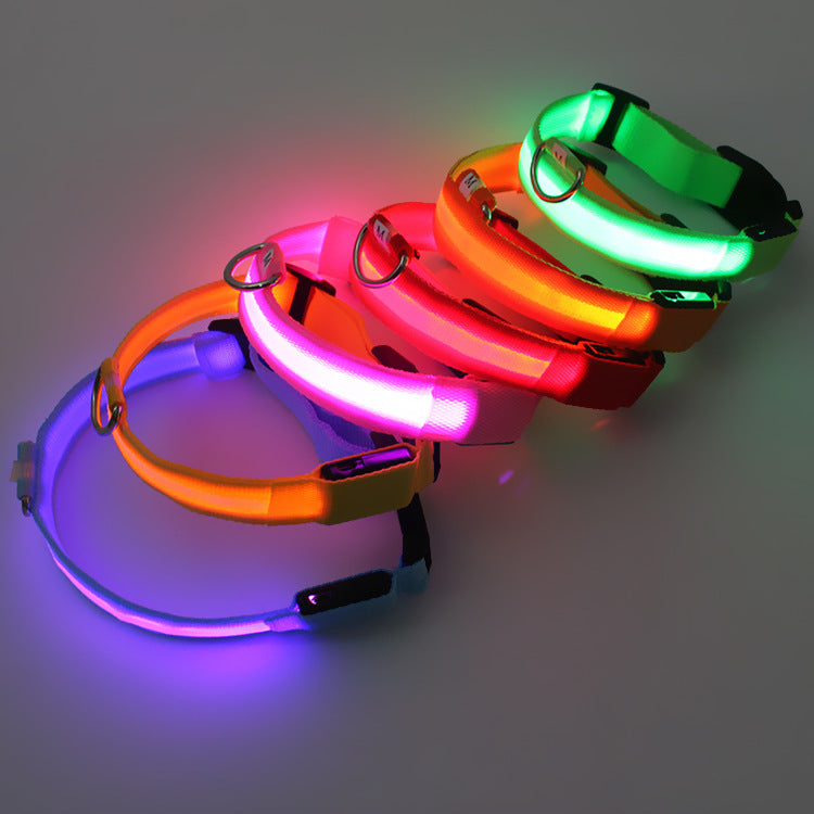 Collar de Perro con Luces LED USB, Recargable