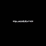 Luz de Bienvenida LED con Proyección de Logo en el Suelo, Compatible con Audi A1 A3 A5 A7 Q3 Q5 Q7 Q8 A4L A6L