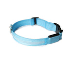 Collar de Perro con Luces LED USB, Recargable