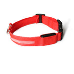 Collar de Perro con Luces LED USB, Recargable