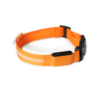 Collar de Perro con Luces LED USB, Recargable