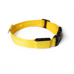 Collar de Perro con Luces LED USB, Recargable