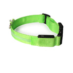 Collar de Perro con Luces LED USB, Recargable