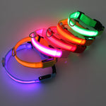 Collar de Perro con Luces LED USB, Recargable
