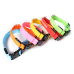 Collar de Perro con Luces LED USB, Recargable