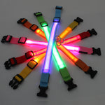 Collar de Perro con Luces LED USB, Recargable