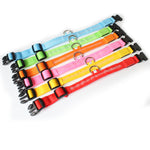 Collar de Perro con Luces LED USB, Recargable