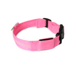 Collar de Perro con Luces LED USB, Recargable