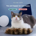 Varita Interactiva Extensible para Gatos con Cabezales Intercambiables