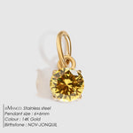 Colgante Redondo de Circonita con Piedra del Mes de Nacimiento, Acero Inoxidable